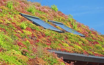 Itchingfield living roof systems